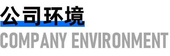 公司环境